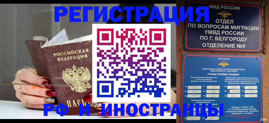 прописка в Жирновске